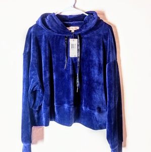 Philosophy republic clothing navy croptop hoodie